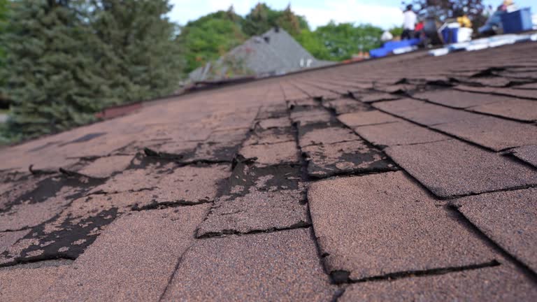 Key Biscayne, FL Roofing Service Company